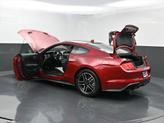 Thumbnail of 2021 Rapid Red Metallic Tinted Clearcoat Ford Mustang