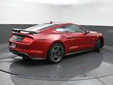 Thumbnail of 2021 Rapid Red Metallic Tinted Clearcoat Ford Mustang