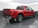 Thumbnail of 2021 Rapid Red Metallic Tinted Clearcoat Ford F-150