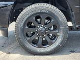 Thumbnail of 2025 Diamond Black RAM 2500