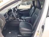 Thumbnail of 2025 White Metallic Ford Escape