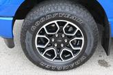 Thumbnail of 2021 Blue Ford F-150