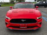 Thumbnail of 2019 Ruby Red Metallic Tinted Clearcoat Ford Mustang