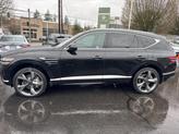 Thumbnail of 2025 Vik Black Genesis GV80