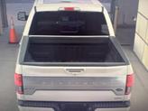 Thumbnail of 2019 White Platinum Ford F-150