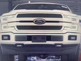 Thumbnail of 2019 White Platinum Ford F-150