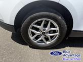 Thumbnail of 2024 Oxford White Ford Edge