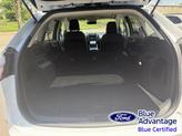 Thumbnail of 2024 Oxford White Ford Edge