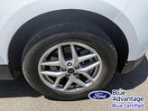 Thumbnail of 2024 Oxford White Ford Edge