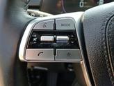 Thumbnail of 2024 Jungle Green Kia Telluride
