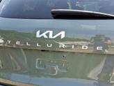 Thumbnail of 2024 Jungle Green Kia Telluride