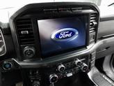 Thumbnail of 2022 Carbonized Gray Metallic Ford F-150