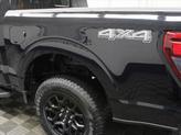 Thumbnail of 2024 Agate Black Metallic Ford F-150