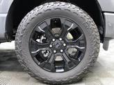 Thumbnail of 2023 Carbonized Gray Metallic Ford F-150