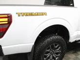 Thumbnail of 2024 Oxford White Ford F-150