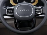 Thumbnail of 2026 Metal Kia Carnival
