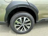 Thumbnail of 2025 Autumn Green Subaru Outback