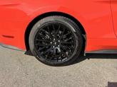 Thumbnail of 2015 Competition Orange Ford Mustang