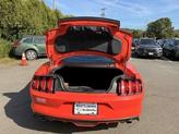 Thumbnail of 2015 Competition Orange Ford Mustang