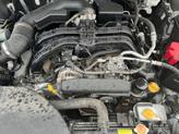 Thumbnail of 2020 Crystal White Pearl Subaru Outback