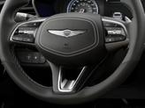 Thumbnail of 2025 Vik Black Genesis G70