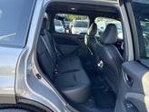 Thumbnail of 2025 Riverrock Green Subaru Forester