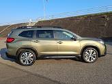 Thumbnail of 2022 Autumn Green Metallic - AG1 Subaru Ascent