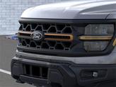 Thumbnail of 2025 Carbonized Gray Metallic Ford F-150