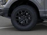 Thumbnail of 2025 Carbonized Gray Metallic Ford F-150