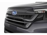 Thumbnail of 2025 Magnetite Gray Metallic Subaru Forester