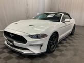 Thumbnail of 2023 Oxford White Ford Mustang