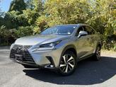 Photo of 2019 Atomic Silver Lexus NX 300