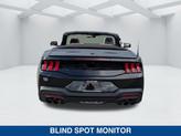 Thumbnail of 2025 Shadow Ford Mustang