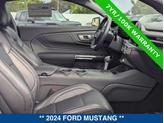 Thumbnail of 2024 OXFORD WHITE Ford Mustang