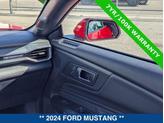 Thumbnail of 2024 RACE RED Ford Mustang