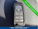 Thumbnail of 2024 RACE RED Ford Mustang