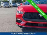 Thumbnail of 2024 RACE RED Ford Mustang