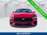 Thumbnail of 2024 RACE RED Ford Mustang