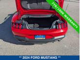 Thumbnail of 2024 RACE RED Ford Mustang