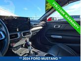 Thumbnail of 2024 RACE RED Ford Mustang