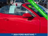 Thumbnail of 2024 RACE RED Ford Mustang