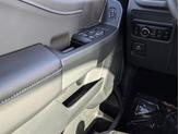 Thumbnail of 2025 White Ford F-150