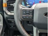 Thumbnail of 2025 Carbonized Gray Metallic Ford F-150