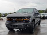 Thumbnail of 2025 Carbonized Gray Metallic Ford F-150