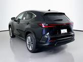 Thumbnail of 2026 Caviar Lexus NX 350