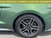 Thumbnail of 2023 ERUPTION GREEN Ford Mustang