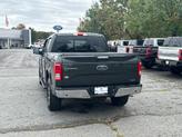 Thumbnail of 2015 Guard Metallic Ford F-150