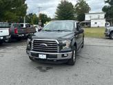 Thumbnail of 2015 Guard Metallic Ford F-150