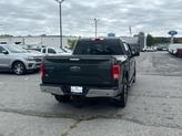 Thumbnail of 2015 Guard Metallic Ford F-150