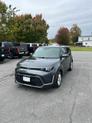 Thumbnail of 2024 Gravity Gray Kia Soul